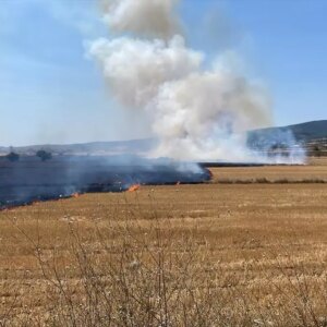 geliboluda aniz yangini sonduruldu qfT1WlpJ