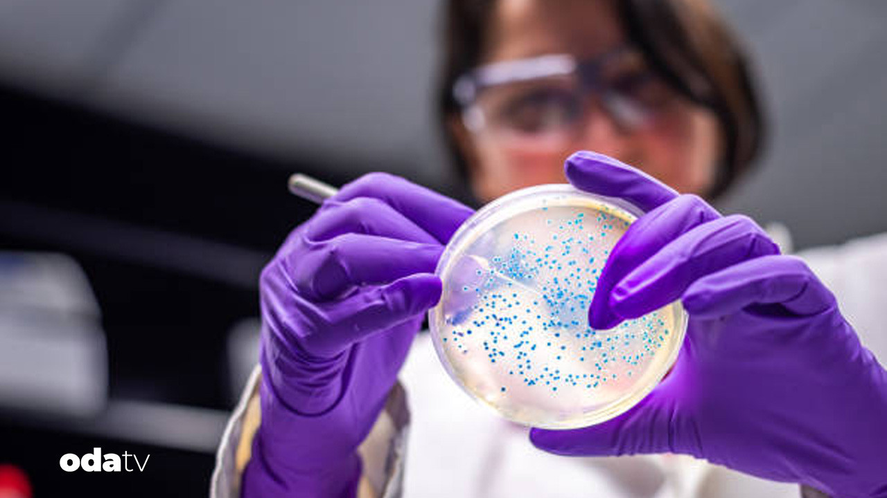 abdde 10 eyalette salmonella alarmi 7 kisi hastanelik mXzz7i9h