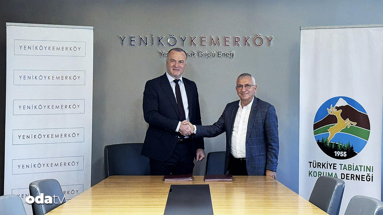 cok konusuldu imzalar atildi zeytin agaclarina siki takip 2ElXJZVk