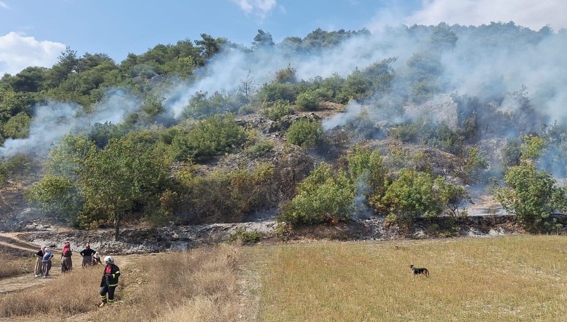 tokatta orman yangini dDMCB4D1