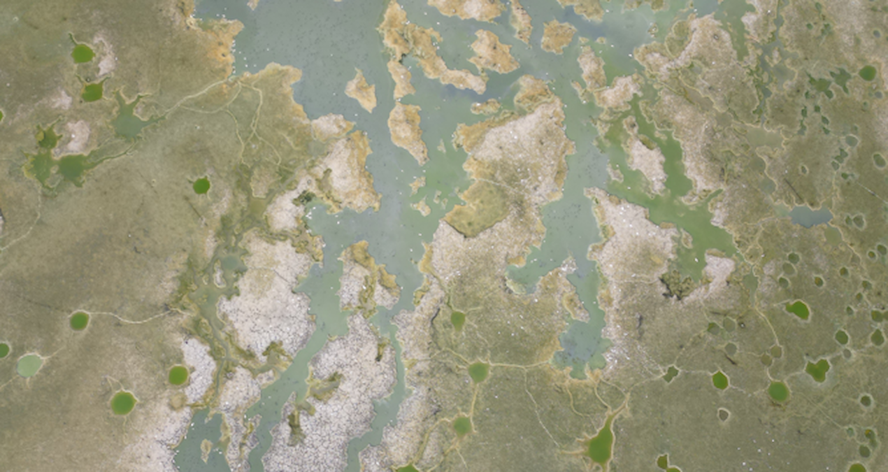 yesilsirt goleti kuruma noktasina geldi uFCnsm7U