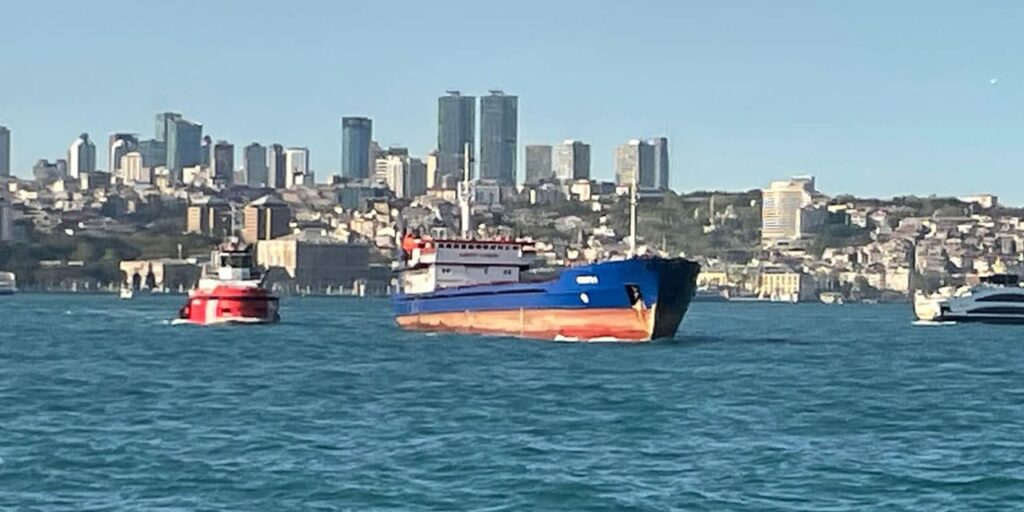 İstanbul Boğazı’nda Gemi Arızası: “Queen Bee” Başarıyla Kurtarıldı