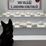 Van’da Uyuşturucu Operasyonu: 443 Kilo Uyuşturucu ve 718 Hap Ele Geçirildi