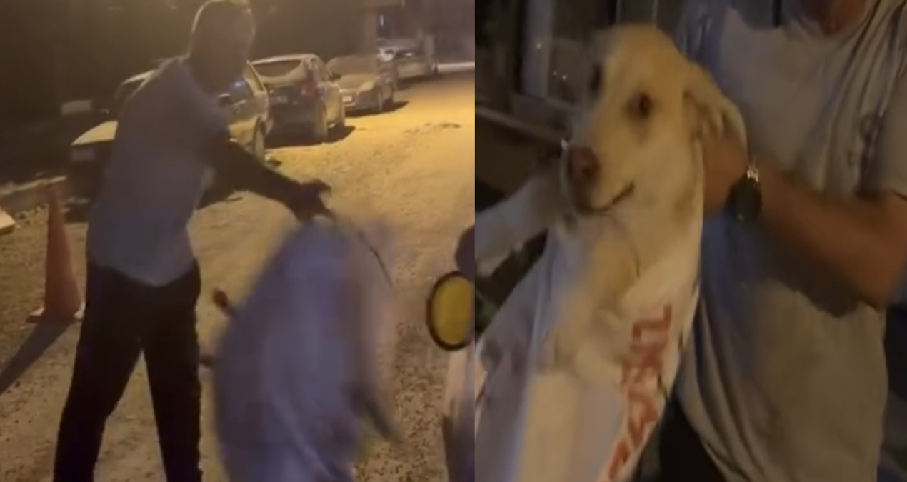 Çuvala koyulan köpeği, hayvansever kadın kurtardı